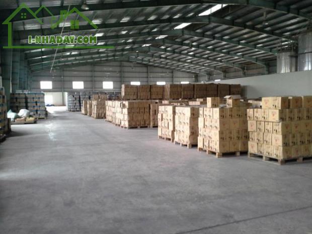 Cho thuê kho xưởng 3000m2 - 11.000m2 KCN Mỹ Xuân, Phú Mỹ, Bà Rịa Vũng Tàu