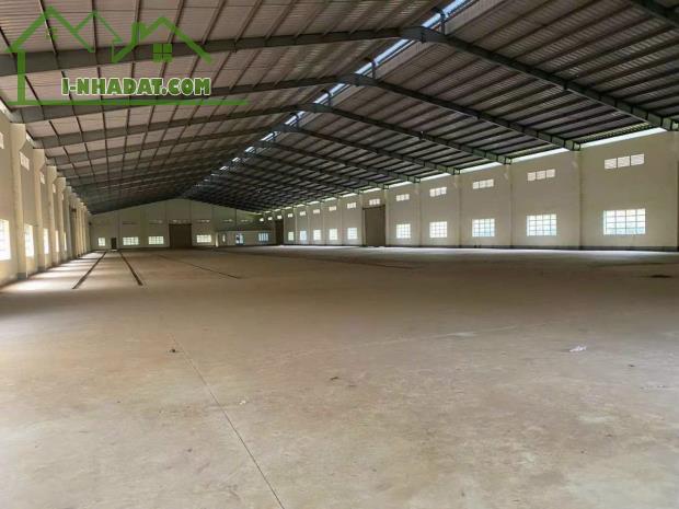 615. CHO THUÊ KHO XƯỞNG TẠI PHÚ GIÁO BÌNH DƯƠNG- 4300M2- ĐIỆN 560KVA, ĐƯỜNG CONT - 1