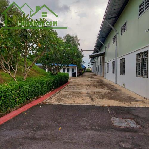 Bán Nhà xưởng 45.867m2 Đất sản xuất kinh doanh ở Đức Hòa, Long An - 1