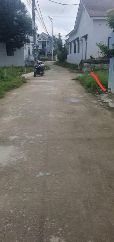 Bán lô đôi trục chính Hòa Phước, Hòa Vang, Đà Nẵng gần 300m2 có bán lẻ từng lô hơn 1 tỷ - 2