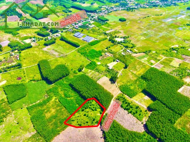 Bán đất làm vườn Diên Tân giá rẻ gần Hương Lộ 62 - 1