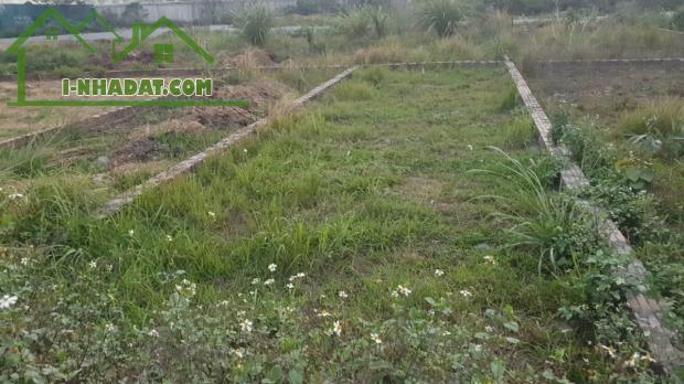 Bán đất dịch vụ Vân Canh 25.2ha, lô góc DT 54m2, MT 4.5m, view KĐT An Lạc nhỉnh 4 tỷ - 1