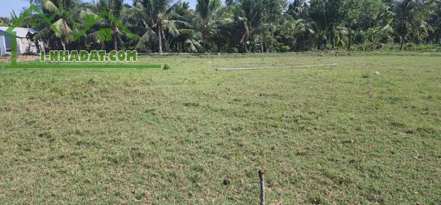 Bán đất trong hẽm đường 30/4, ấp Sa Bình, X.Long Đức, TP Trà Vinh. DT: 246,5m2 = 800 Tr - 6