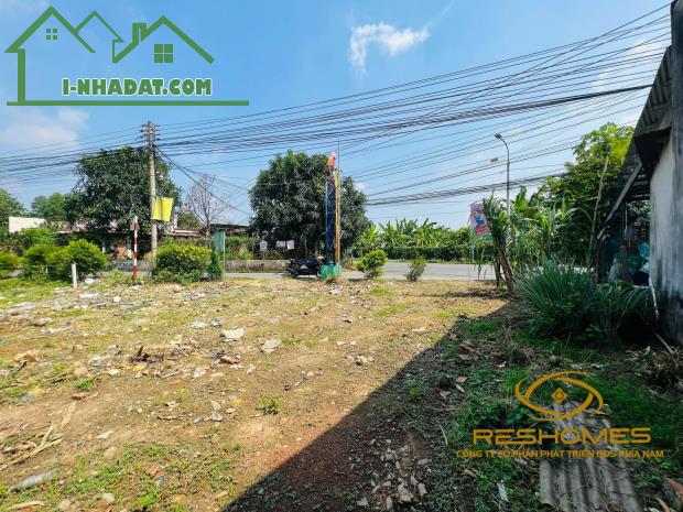 Bán lô đất biệt thự 300m2 ngang 10m mặt tiền đường Bình Hòa-Cây Dương giá chỉ 13 triệu/m2 - 3