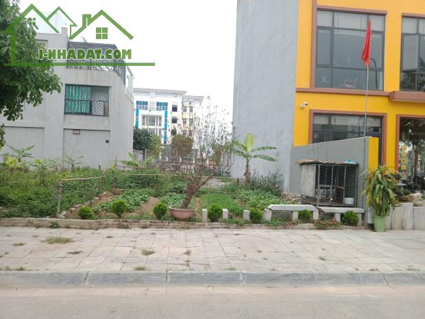 Cho thuê lâu dài lô đất Biệt thự 200m2, mặt tiền 10m, Phường Đông Hải, Thành phố Thanh Hóa - 3