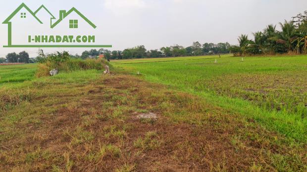 Bán đất 12,4x55m (682m2) xã Hòa Khánh Đông, Đức Hòa, Long An giá 3.4 tỷ LH: 0786 7978 99 - 1