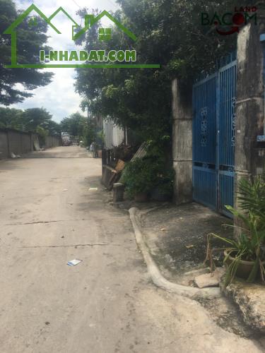 Bán đất 67m2 tặng 2 phòng trọ, SHR thổ cư  đường ô tô gần giáo xứ Bùi Thái ( P. Tam Hiệp ) - 1