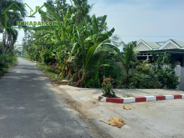 Đất thổ cư đường 90D,Xã Mỹ Phong,TP Mỹ Tho - 3