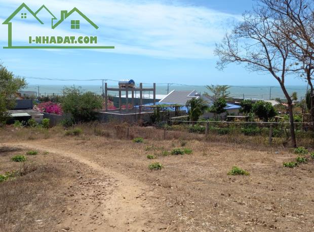 Giỏ Hàng đất Sào-Nội bộ Hàn Mặc Tử-Phú Hài Phan Thiết-Bình Thuận - 2