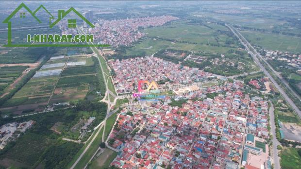 Bán đất đấu giá Thôn Đông Tàm Xá Đông Anh gần dự án Vinhomes Cổ Loa - 3