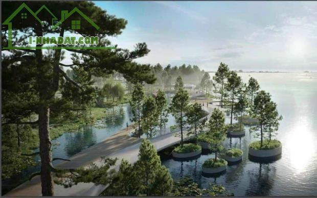 Đất Vườn CLN Long Phước Quận 9 8tr/m2 Biệt thự Mặt Sông View Đẹp Giá Rẻ Lắm - 4