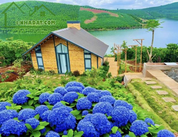 4 Suất Đặc Biệt chỉ 880 Triệu/ nền 1010m2 đất hồ Đắk Long Thượng, Bảo ...