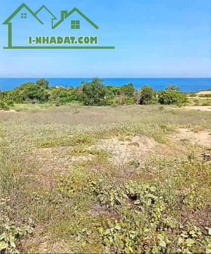 Đại Hạ Giá-Đất Kê Gà-Hàm Thuận Nam-Bình Thuận-DT 2,8Ha,thực tế 3Ha - 1