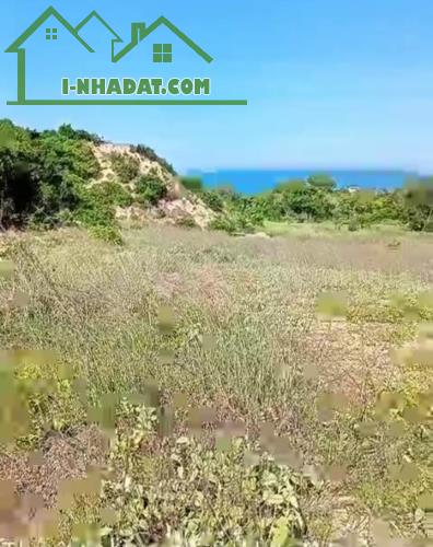 Đại Hạ Giá-Đất Kê Gà-Hàm Thuận Nam-Bình Thuận-DT 2,8Ha,thực tế 3Ha - 2