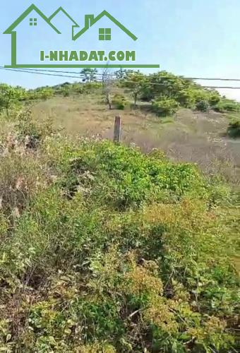 Đại Hạ Giá-Đất Kê Gà-Hàm Thuận Nam-Bình Thuận-DT 2,8Ha,thực tế 3Ha - 3