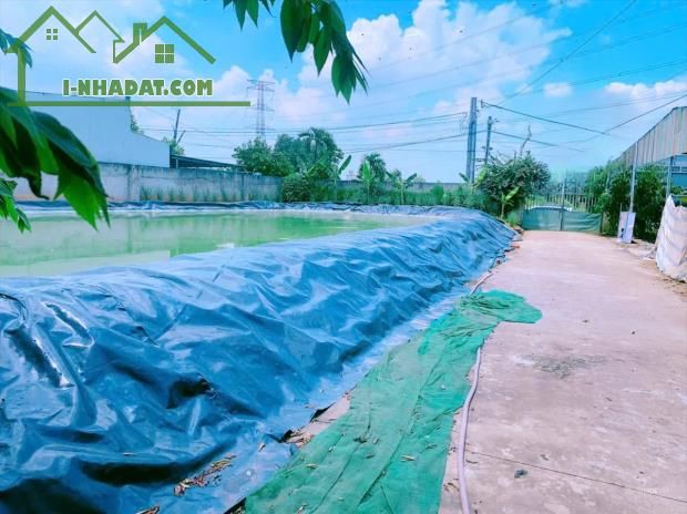 Bán đất vườn qui hoạch hồng, Thiên Tân, Vĩnh Cửu, Đồng Nai, 2000m2, giá 5 tỷ 990. - 4