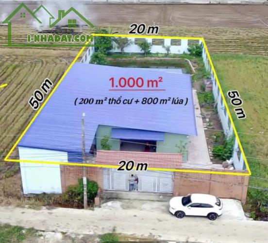 Nhà xưởng tổng dt 1000m2 An Thạnh, Bến Lức, Long An dt 1000m2 giá 7 tỷ - 3