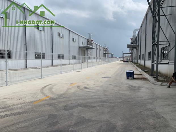 Cho thuê kho xưởng mới DT 8000m2 KCN Minh Quang, Mỹ Hào, Hưng Yên. - 2