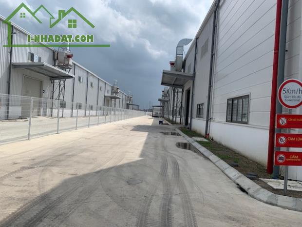Cho thuê kho xưởng mới DT 8000m2 KCN Minh Quang, Mỹ Hào, Hưng Yên. - 3