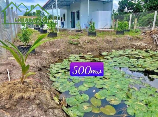 nhà + vườn + ao , 500m2 550tr bao sang tên công chứng, sổ hồng - 2