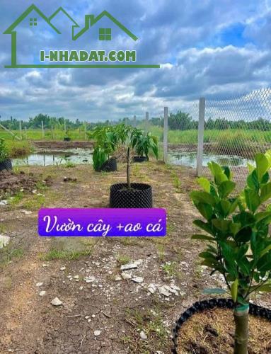 nhà + vườn + ao , 500m2 550tr bao sang tên công chứng, sổ hồng - 1