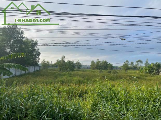7600m2 đất vườn ấp 9, xã Lương Hòa, Bến Lức, Long An giá 22 tỷ - 3