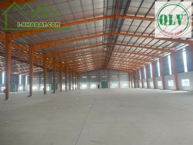 Cho thuê nhà xưởng 4.600m2 tại Hướng Thọ Phú, Tân An,  Long An - 1