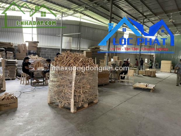 Cho thuê xưởng Phước Tân Biên Hòa 5000m2 chỉ 80 triệu - 2