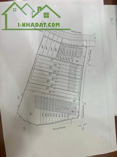 Cần bán 1,2 ha đã tách làm 34 sổ riêng có tổng 3000 mét vuông thổ cư. - 1