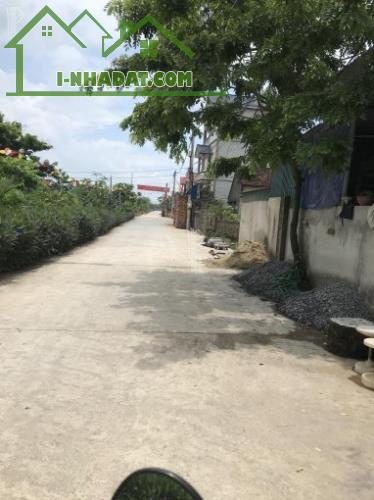 Bán 720m2 đất Chương Dương, Thường Tín. - 2