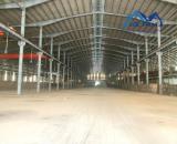 🍎Cho thuê xưởng 15.000m2 trong KCN ở Bà Rịa - Vũng Tàu