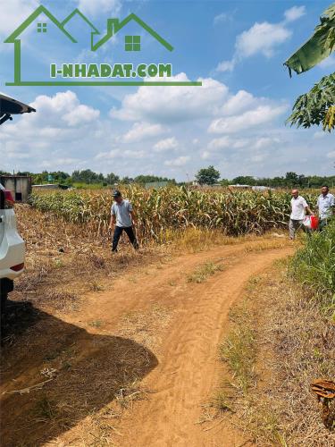 CHÍNH CHỦ Bán Đất Tại Xã Hưng Lộc, Huyện Thống Nhất, Đồng Nai - 3