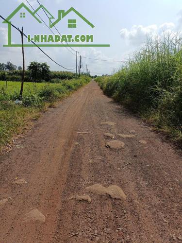 Chính Chủ - Giá Tốt - Cần Bán Đất Tại Xã Hòa Khánh, Buôn Ma Thuột, Đắk Lắk - 1