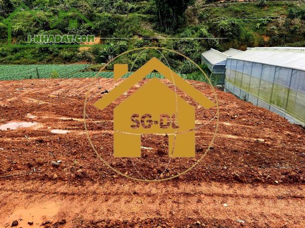 Cần bán gấp 438m2 đất mặt tiền đường Đa Phú, P7, Đà Lạt giá 12,5 tỷ - 5