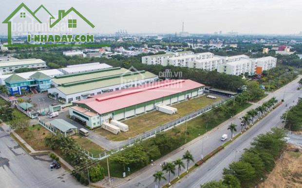 CẦN BÁN GẤP 19X55=1049M2 SỔ RIÊNG NGAY THỊ XÃ, DÂN CƯ ĐÔNG, SÁT CHỢ GIÁ 180TR - 3