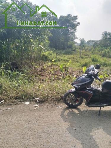 5x50m xã Đức Hòa THượng, gần DT 823D. Giá bán 1 tỷ 099tr thương lượng/ Sổ hồng riêng - 2