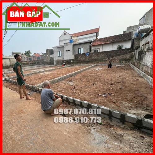 Bán đất thổ cư tại xã Tự Nhiên, Thường Tín, Hà Nội, Giá chỉ 2x triệu/m, 92m2 - 2