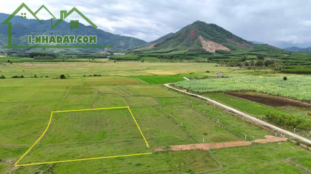 bán đất view lúa đẹp 1.500m2 quy hoạch thổ cư gần chợ trường xã Diên Tân, Diên Khánh - 1