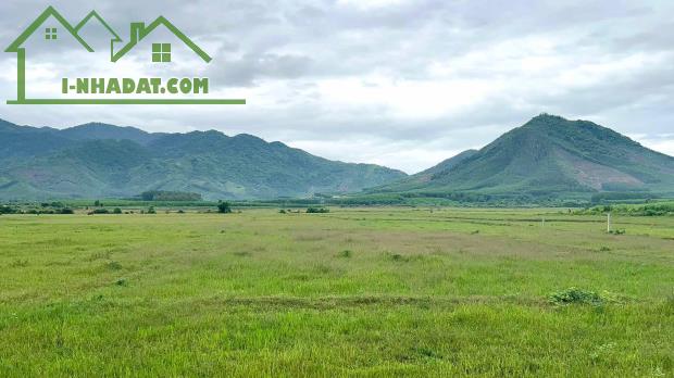 bán đất view lúa đẹp 1.500m2 quy hoạch thổ cư gần chợ trường xã Diên Tân, Diên Khánh - 2