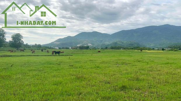 bán đất view lúa đẹp 1.500m2 quy hoạch thổ cư gần chợ trường xã Diên Tân, Diên Khánh - 3