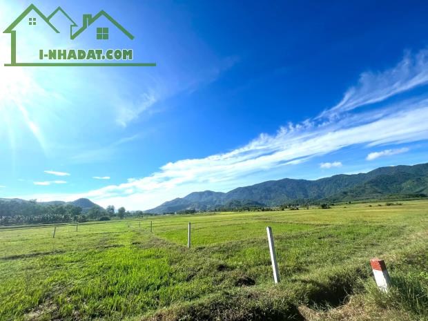 bán đất view lúa đẹp 1.500m2 quy hoạch thổ cư gần chợ trường xã Diên Tân, Diên Khánh - 4