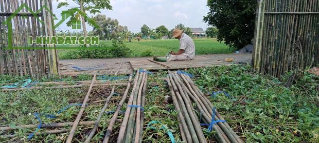 Đất đường ô tô thông, Khu Dân Cư Bình Mỹ, 10x25m. 1,3 tỷ - 1