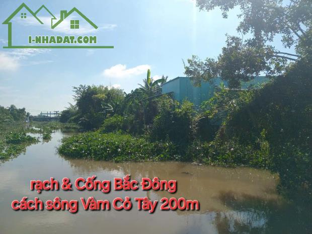 ĐẤT ĐẸP- GIÁ TỐT - Chính Chủ Cần Bán Nhanh Nhà Đất Tại Mỹ An, Thủ Thừa, Long An - 1