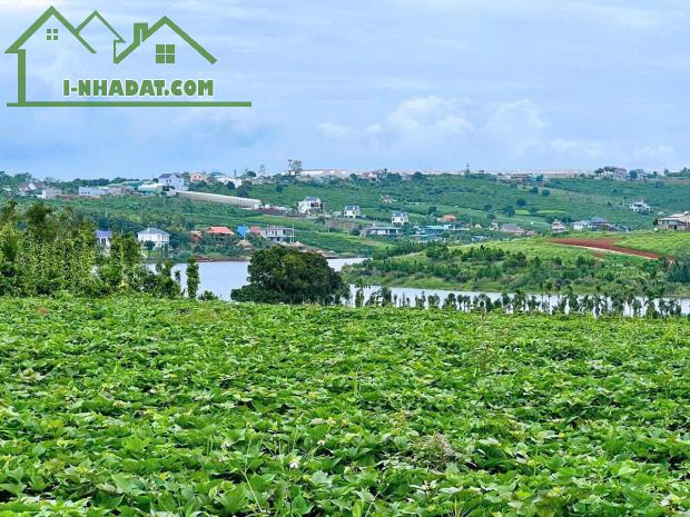 Đà Lạt 2 hồ Phúc Thọ Lâm Hà một chiếc view hồ view biệt thự nghỉ dưỡng mộng mơ giá chỉ - 2