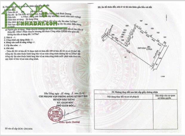 Bán Đất Ấp Tân Hòa, Xã Long Hòa, Huyện Dầu Tiếng, Tỉnh Bình Dương - 2