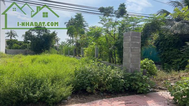 Sang nhượng 10x38 50m2 thổ cư mặt tiền Nguyễn Du - Xã Tân Phước - Thị xã LaGi - 1