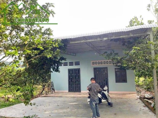 4500m2 đất nằm đối diện khu công nghiệp thanh an - 3