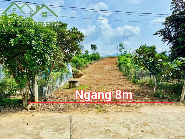 Bán đất Khánh Đông giá rẻ đường thông gần Tỉnh Lộ 8 - 5