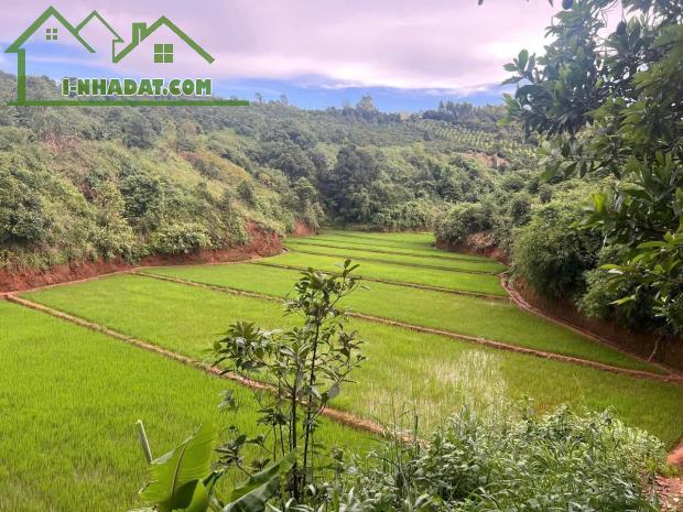 Bán Đất làm Homestay, Farmstay - 2