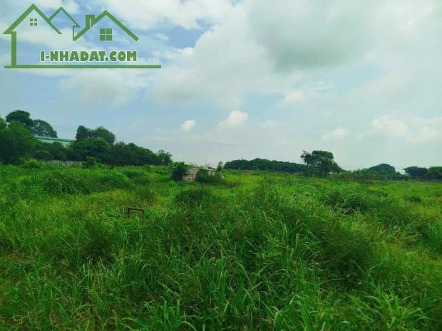 Đất Dự Án Nhà Phố Tân Thới Nhì - Hóc Môn Bán 17500m2 Giá 156 Tỷ - 2